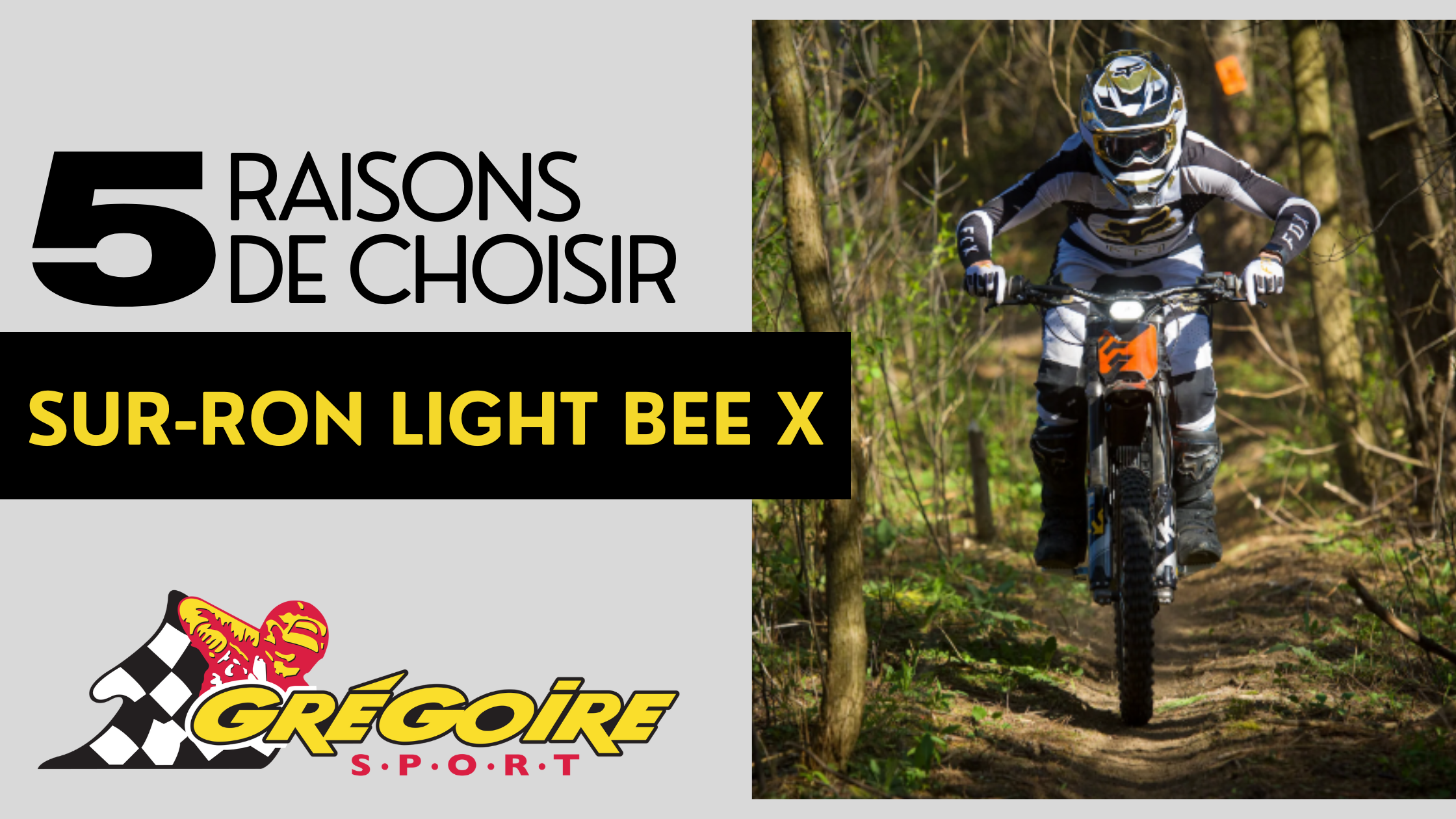 SUR-RON LIGHT BEE X